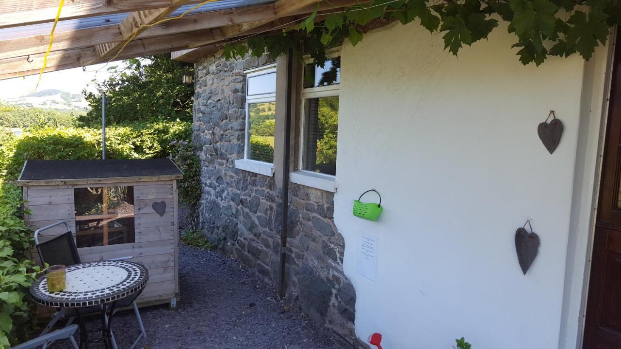Pen Y Geulan Villa Machynlleth Exterior photo